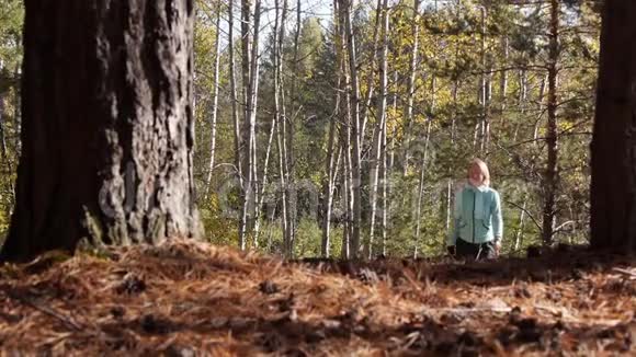 在秋天的森林里行走的女人她向我们走来踩着针叶树的大针视频的预览图