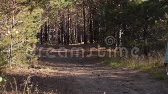 女人练习北欧在秋天的森林里行走她从沙路上的相机后景广泛视频的预览图