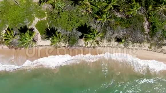 鸟瞰热带白色沙滩和绿松石清澈海水带小波浪视频的预览图