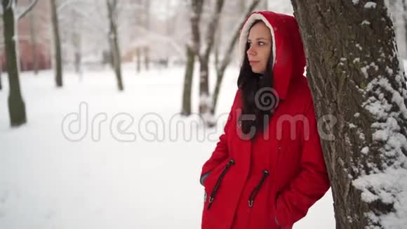 冬天穿红色夹克和引擎盖的年轻女人的肖像美丽的女士站在树附近看着远处绒毛视频的预览图