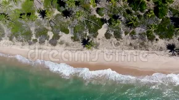 日落时分鸟瞰热带海洋和棕榈林普拉亚多海滩视频的预览图