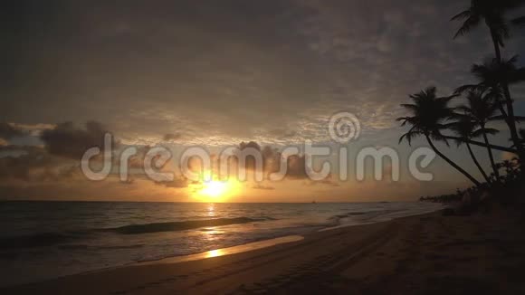 多米尼加共和国蓬塔卡纳的热带海滩日出做女人视频的预览图