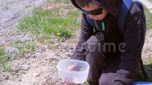 男孩拿着一个塑料容器里面夹着一只青蛙视频的预览图