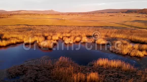 落日余晖下冰冻池塘的空中冬季景观视频的预览图