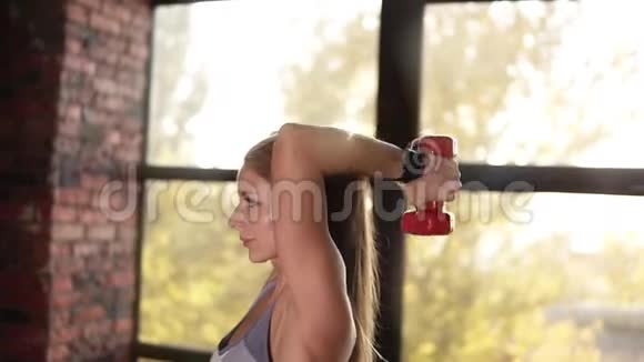 年轻运动的女人正在做体育锻炼手里拿着重物她正在做她的身体和背部完美视频的预览图