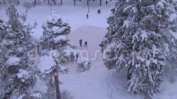 孩子们在雪林里打曲棍球空中摄影被观众观看视频的预览图