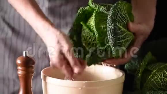 女洗手白菜有机养殖蔬菜在花园里生长农民市场农场收获自然视频的预览图