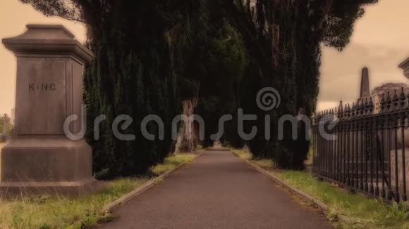 爱尔兰都柏林格拉斯内文公墓视频的预览图