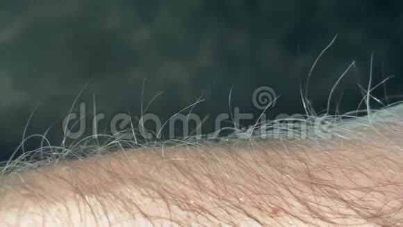 由静电能量吸引的雄性臂毛视频的预览图