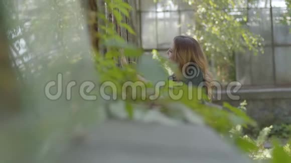 美丽幸福的年轻女子站在花园里透过老房子的窗户看着概念视频的预览图