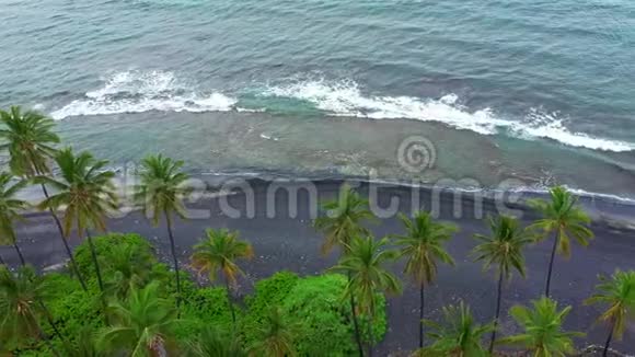 科霍洛湾黑沙滩棕榈树大岛夏威夷航空视频的预览图