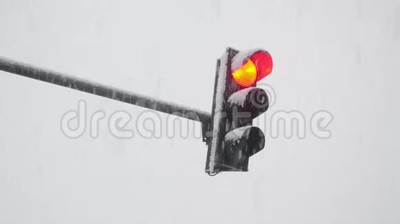 冬季白天雪中的交通灯从红色琥珀到绿色冬季大雪期间交通灯管制交通视频的预览图