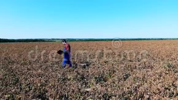 一个农民在干田里检查庄稼视频的预览图