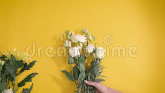 专业的花艺师以快速的动作将花放在黄色的背景上用一个地方将出色的构图写在纸上视频的预览图