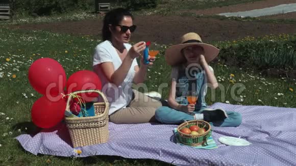 妈妈和女儿在野餐时吹肥皂泡视频的预览图