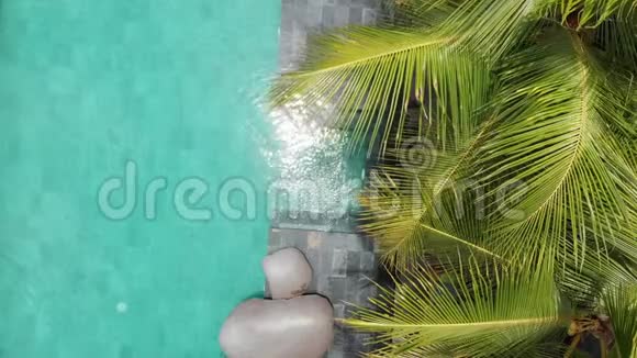 4K航空飞过绿松石豪华无限游泳池在热带与棕榈树豪华别墅游泳池视频的预览图