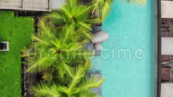 空中无人机飞行视野的豪华无限游泳池在热带与棕榈树豪华别墅游泳池旅费视频的预览图