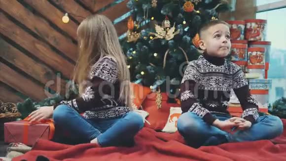 可爱的4k视频妹妹送圣诞礼物盒给她的哥哥坐在树旁在圣诞节设计视频的预览图