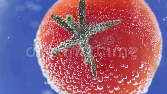 成熟的番茄在水中有气泡多汁蔬菜特写宏观选择性聚焦清洁饮食概念视频的预览图