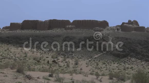 游客观看亚洲沙漠古城考古发掘视频的预览图