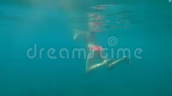 美丽的女孩在清澈的海水中游泳在水下射击假期和旅行概念背景慢动作视频的预览图
