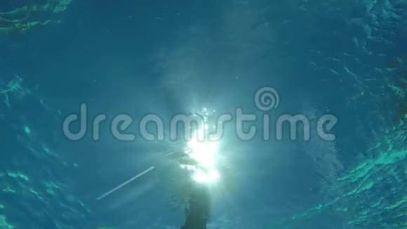 在阳光下游泳的人视频的预览图