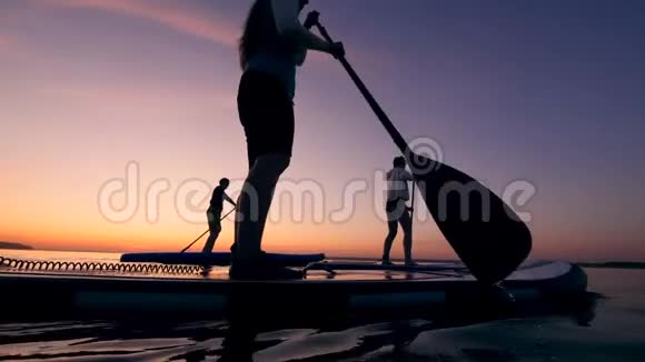 运动员们用桨在水上运动视频的预览图