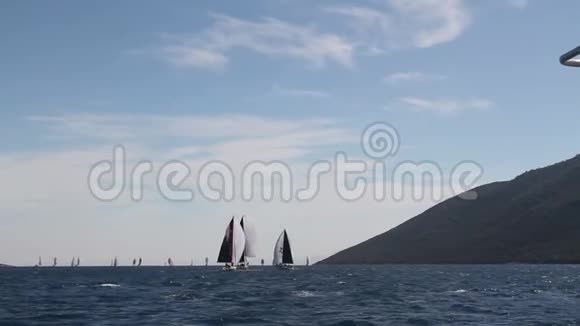 海上的帆船鸟在飞翔风吹着水波视频的预览图