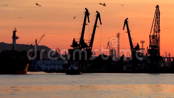 保加利亚瓦尔纳港工业起重机和货船的日落轮廓视频的预览图