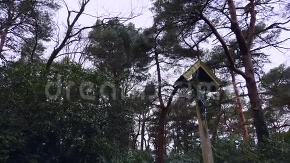 高大的木制十字架结构视频的预览图
