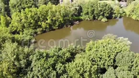 从空中俯瞰森林和湖泊的乡村景观视频的预览图