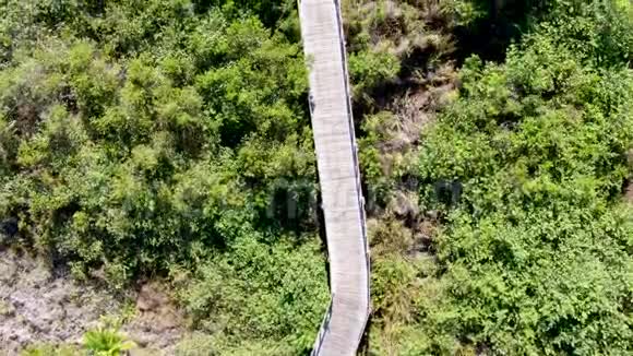 热带森林上的木桥鸟瞰图巴西视频的预览图