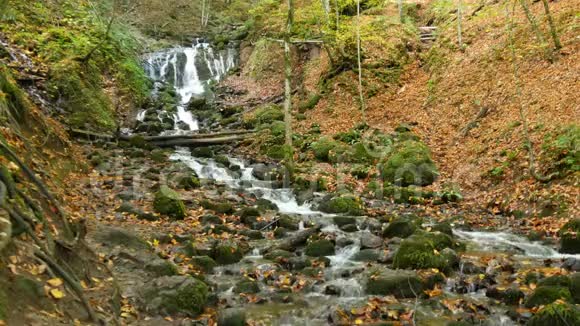 瀑布和黄叶在耶迪格勒国家公园秋天博鲁土耳其视频的预览图