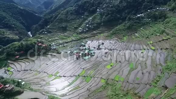 菲律宾Banaue的RiceTerraces观光场所九水稻土地的性质和景观视频的预览图
