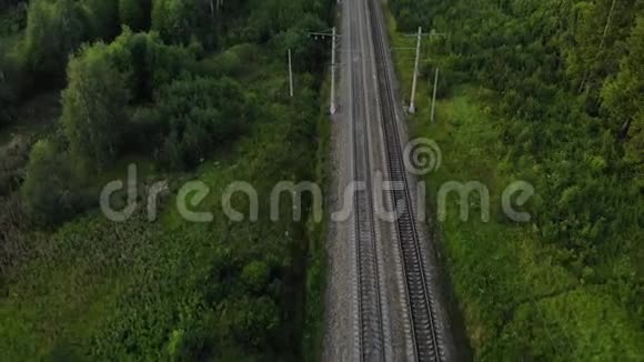 飞越森林之间的铁路视频的预览图