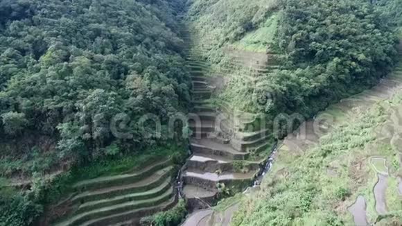 菲律宾Banaue的RiceTerraces观光场所水稻梯田的自然与景观视频的预览图