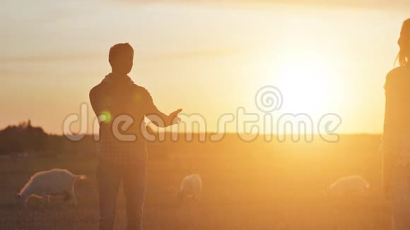 一个女孩的剪影接近她心爱的男人拥抱他在夕阳和山羊的背景下视频的预览图