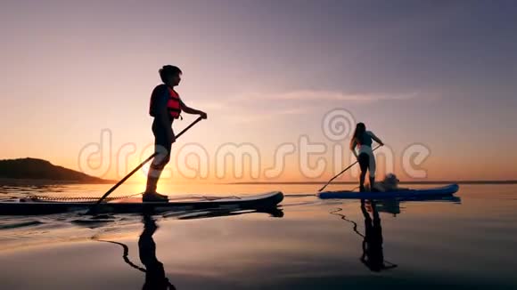 运动员和一只狗在河上划桨视频的预览图