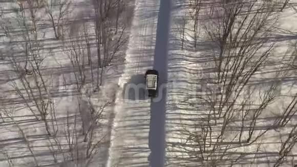 云天森林冬季路上交叉驾驶的空中无人机景视频的预览图