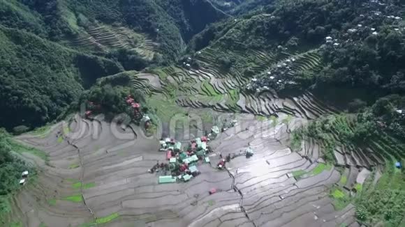 菲律宾Banaue的RiceTerraces观光场所水稻土地二十一世纪的性质和景观视频的预览图