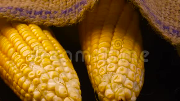 甜黄色的新鲜玉米放在旧袋子上视频的预览图
