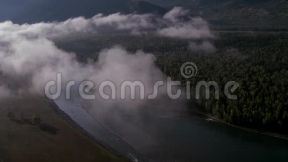 4K鸟瞰图低飞过一条带着绿树的清新寒冷的山河视频的预览图