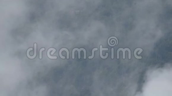 雾在林中固云云藏开山观视频的预览图