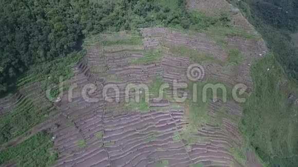 菲律宾Banaue的RiceTerraces观光场所水稻土地的性质和景观视频的预览图