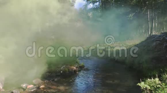 黎明时分森林里的河面笼罩着厚厚的白雾4k视频的预览图
