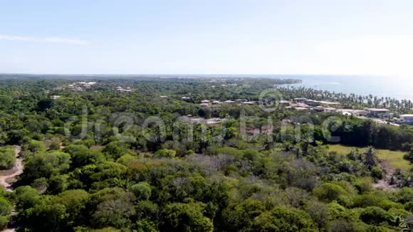 热带棕榈树森林和海洋的空中景观背景普拉亚多福特视频的预览图