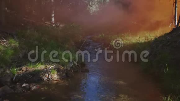 4k森林里的河水上弥漫着浓浓的白雾视频的预览图