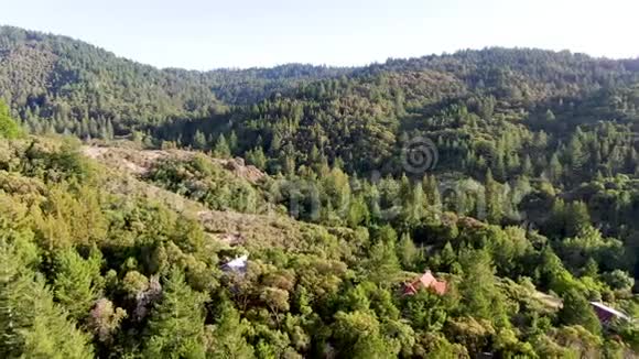 夏季纳帕谷有树木的葱茏丘陵的空中景色视频的预览图