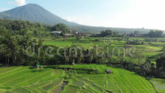 在印度尼西亚巴厘岛的JatiluwihRiceTeraces和山地上令人惊叹的景观稻田中的无人机空中景观视频的预览图