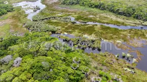 巴西热带雨林丛林空中景观视频的预览图